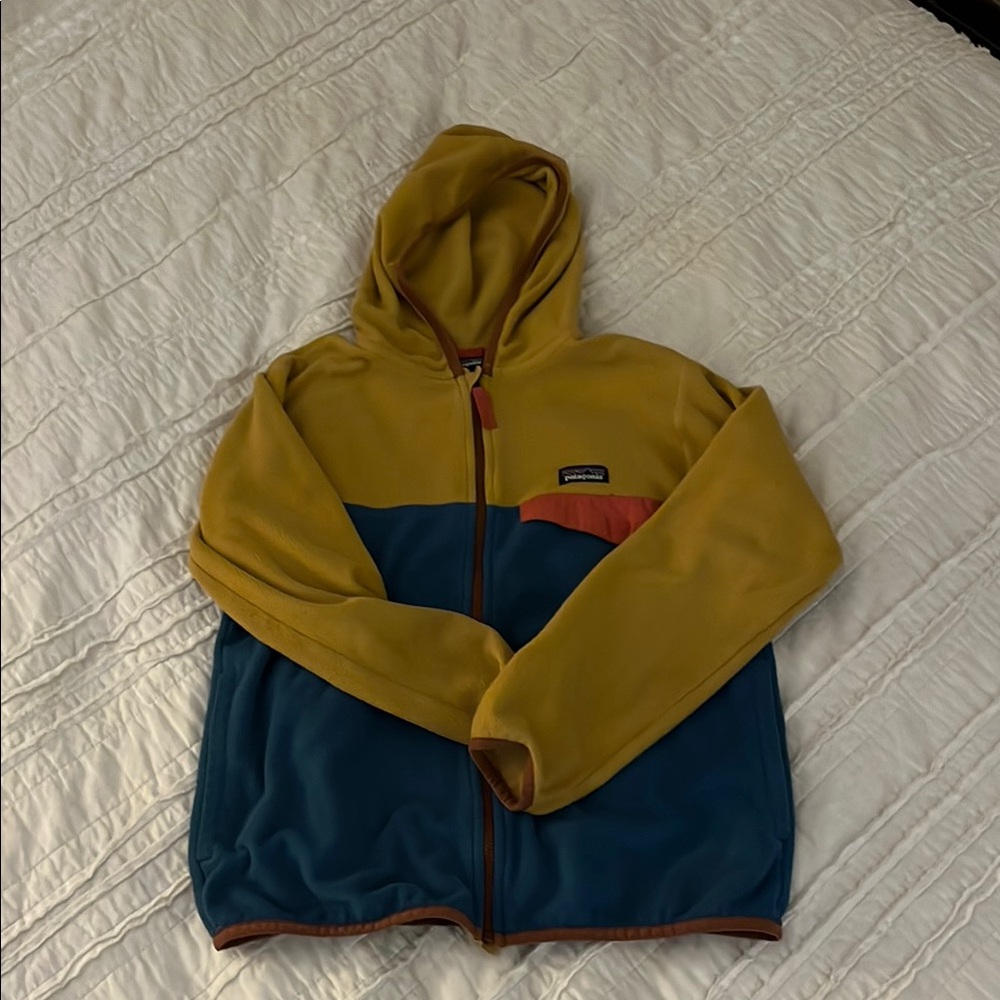 Patagonia Fleece Colorblock Hooded Jacket